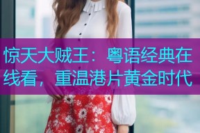 惊天大贼王:粤语经典在线看,重温港片黄金时代