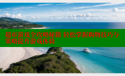 超市游戏全攻略秘籍 轻松掌握购物技巧与策略提升游戏体验