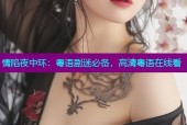 情陷夜中环：粤语剧迷必备，高清粤语在线看