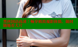 黑侠国语高清:畅享极致观影体验,随时随地看大片
